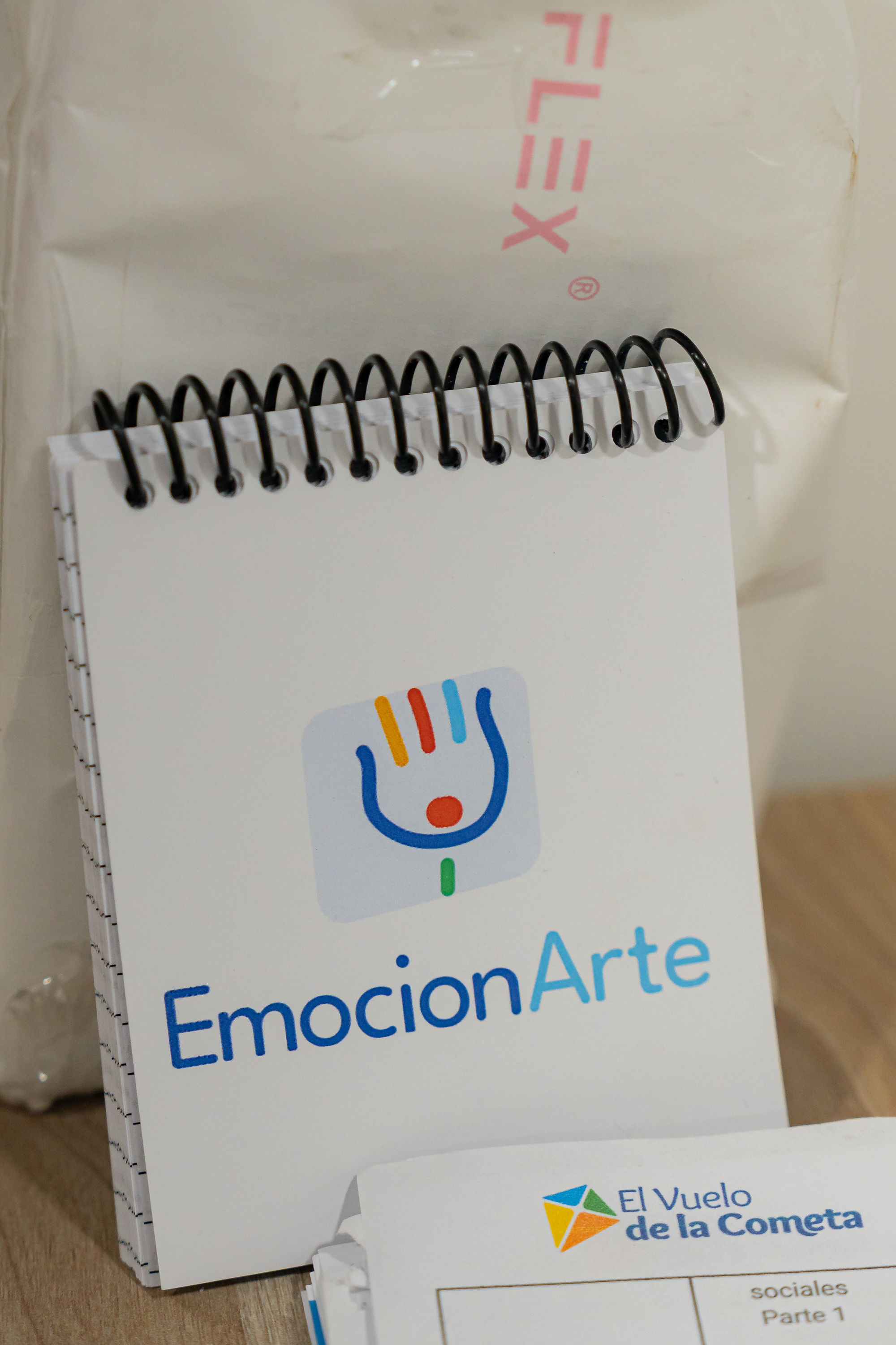 Material del programa EmocionArte